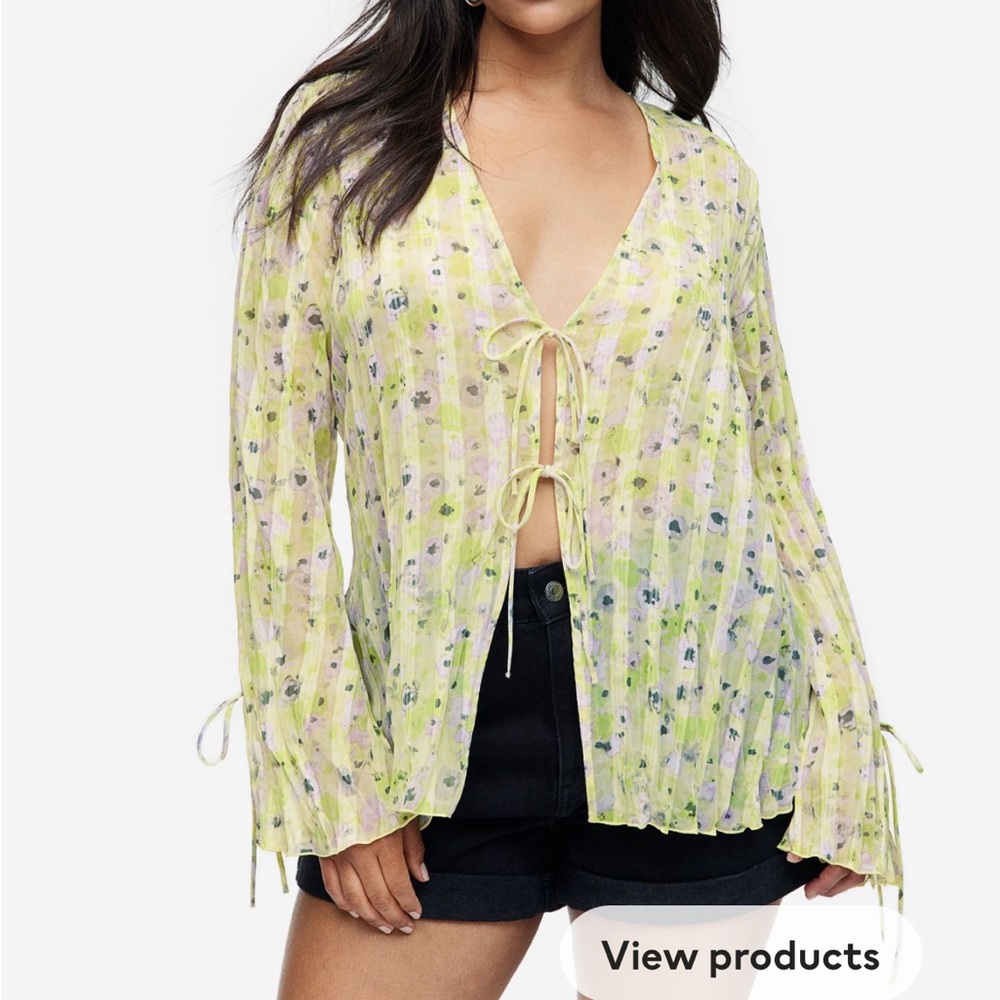 H&M sheer blouse